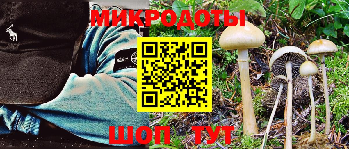 Галлюциногенные грибы Psilocybe  Псилоцибиновые грибы ЛСД  Вход с VPN  Павлово 